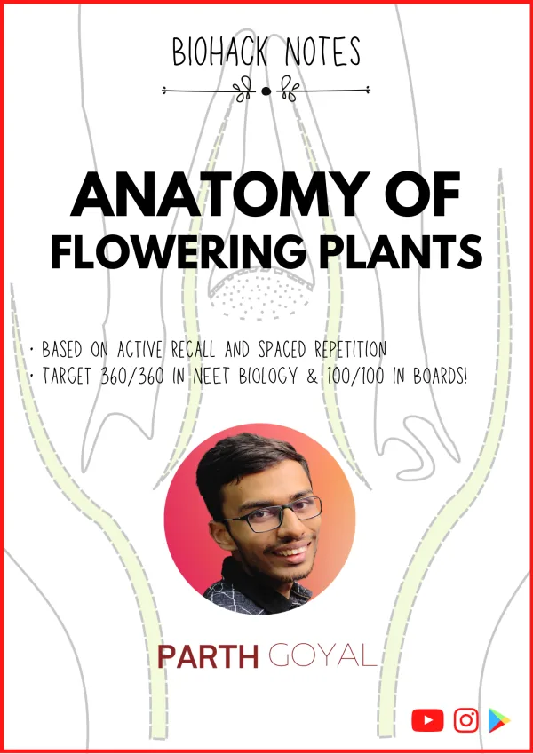 Chapter 6: Anatomy of Flowering Plants - BIOHACK Notes
