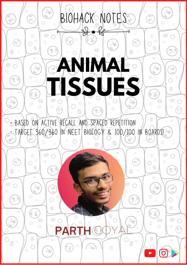 Chapter 7.1: Animal Tissues - BIOHACK Notes