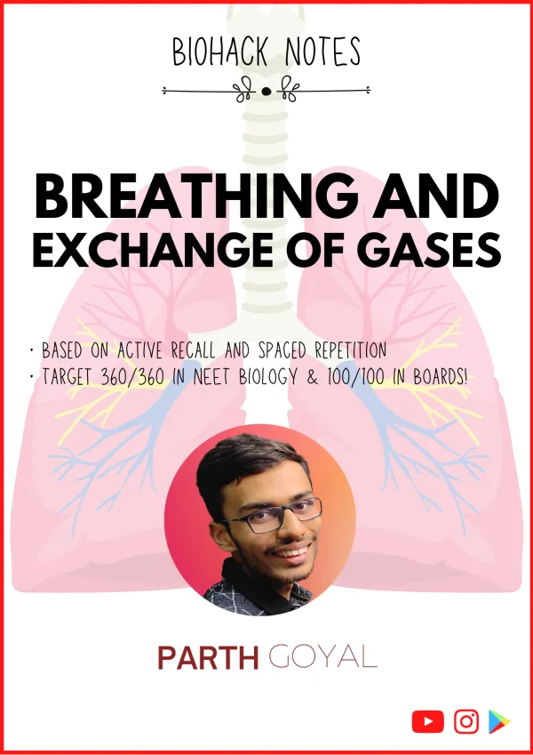 Chapter 17: Breathing and Exchange of Gases - BIOHACK Notes