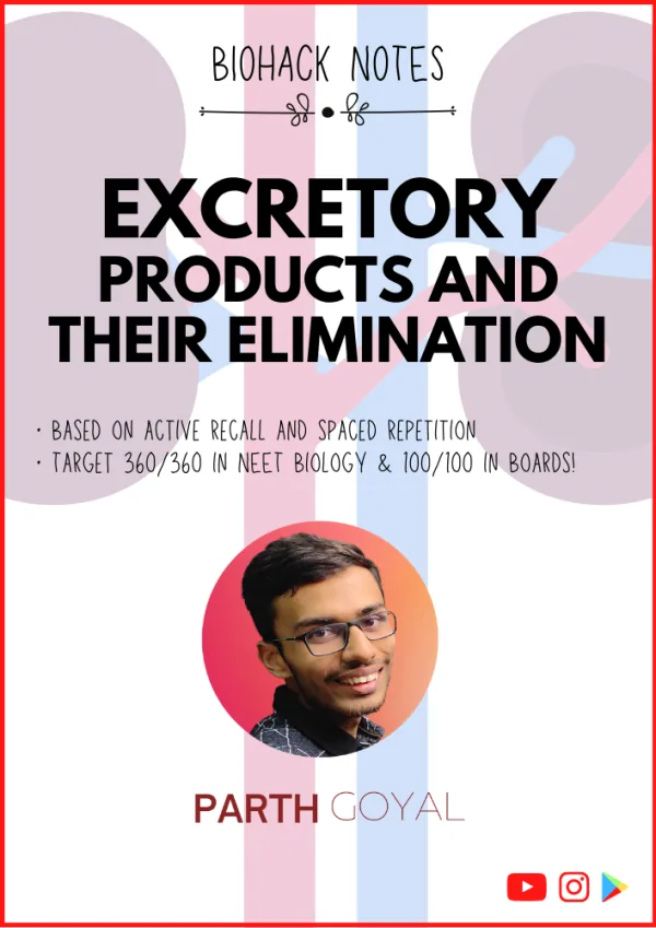 Chapter 19: Excretory Products and Elimination - BIOHACK Notes