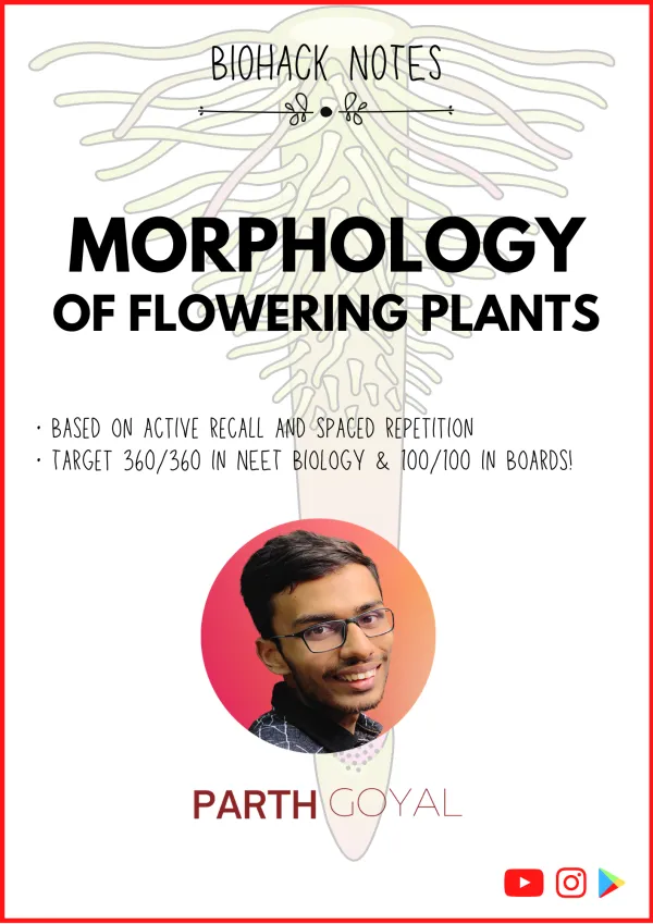Chapter 5: Morphology of Flowering Plants - BIOHACK Notes