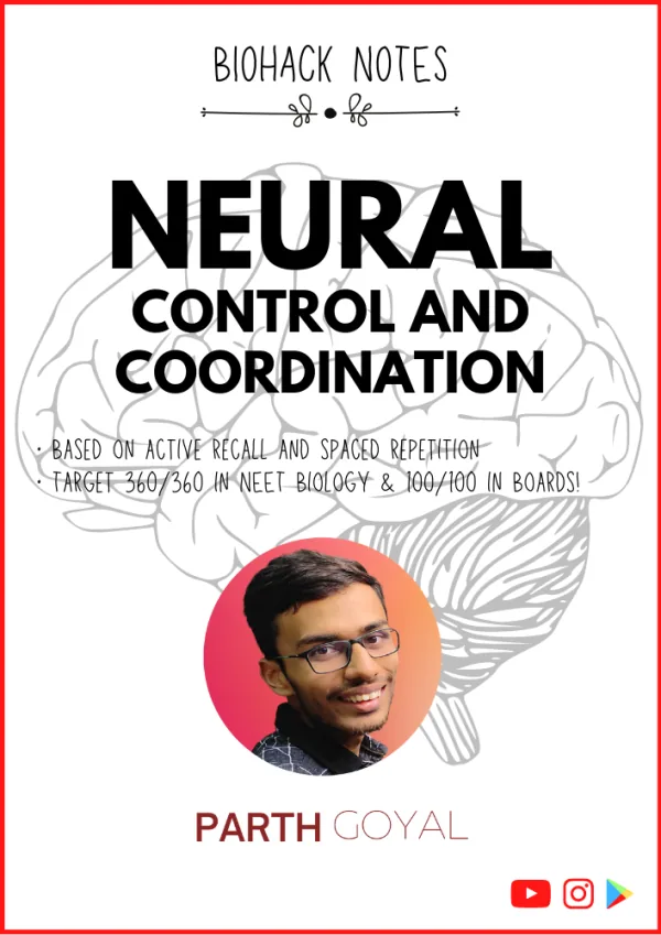 Chapter 21: Neural Control and Coordination (Coordination) - BIOHACK Notes